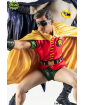 DC Comics PVC Diorama socha 1/8 Batman and Robin 1966 23 cm obrázok 3