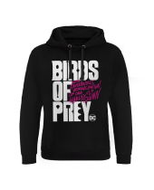 Birds Of Prey Hoodie Logo