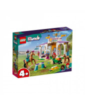 LEGO Friends Výcvik koní